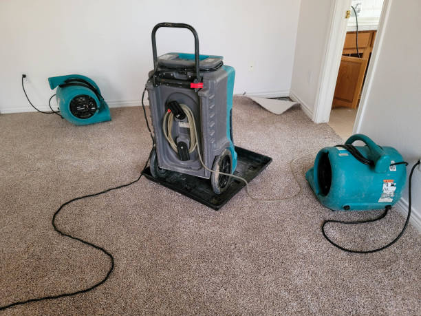 Best Commercial water damage restoration  in Silver Spring, MD