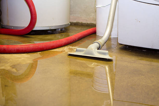 Best Ceiling water damage repair  in Silver Spring, MD