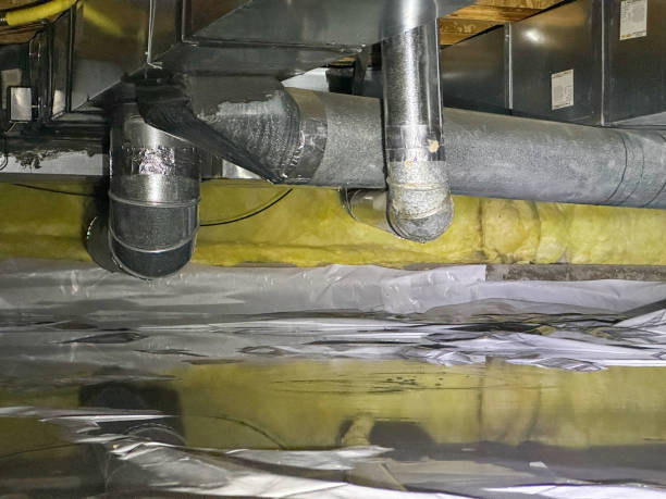 Best Carpet water damage restoration  in Silver Spring, MD